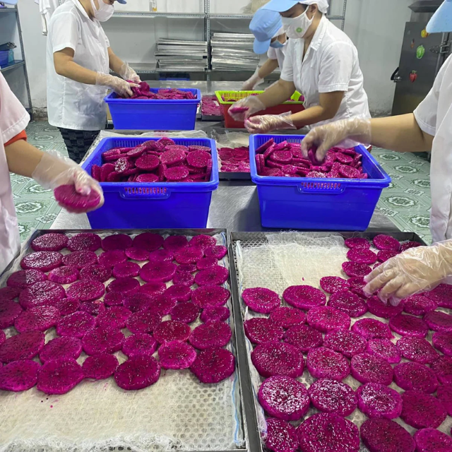 Soft Dried Red Dragon Fruit | Vietnam OEM/ODM Manufacturer – Premium Natural Healthy Snack, Bulk Wholesale Supplier - Image 3