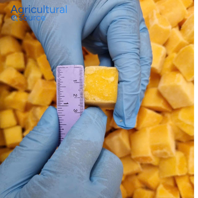 IQF MANGO FROM VIETNAM SOURCE - Image 3