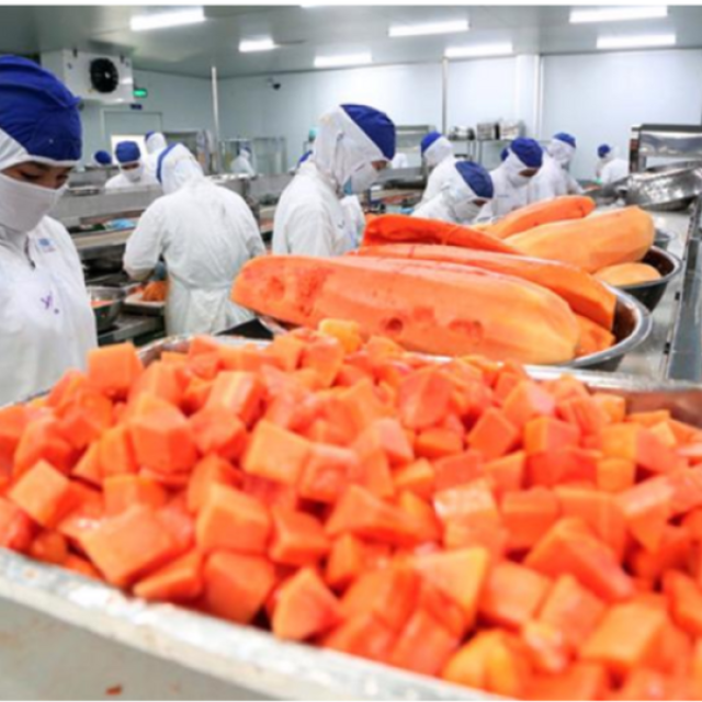 Soft Dried Papaya | Vietnam OEM/ODM Manufacturer – Premium Natural Healthy Snack, Trusted Bulk Wholesale Supplier - Image 4