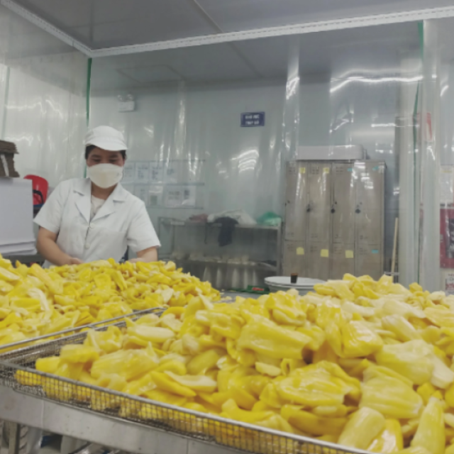 Soft Dried Jackfruit | Vietnam OEM/ODM Manufacturer – Premium Natural Healthy Snack, Bulk Wholesale Export Supplier - Image 4