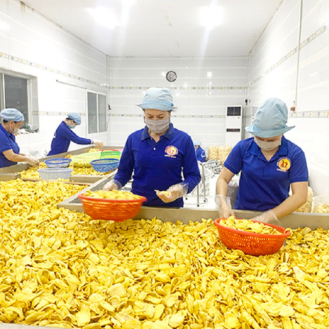 Soft Dried Jackfruit | Vietnam OEM/ODM Manufacturer – Premium Natural Healthy Snack, Bulk Wholesale Export Supplier - Image 5