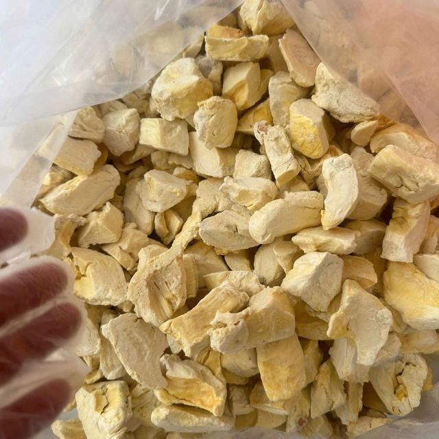 Freeze Dried Durian – Fresh Taste Retained, Healthy Natural Snack | Vietnam OEM Supplier, No Additives - Image 3