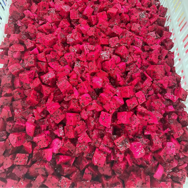 IQF RED DRAGON FRUIT PUREE FROM VIETNAM - Image 3