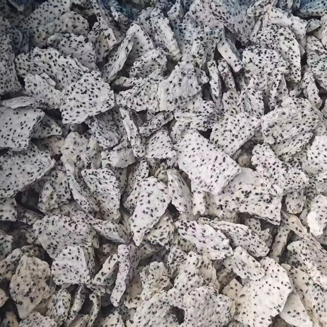 Healthy Freeze-Dried White Dragon Fruit from Vietnam Factory | OEM ODM Bulk Supply | Natural Snack Exporter - Image 2