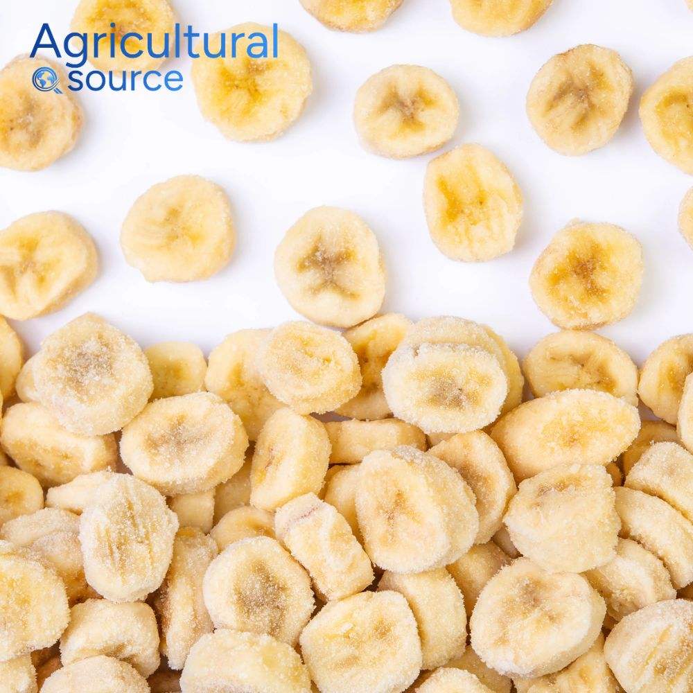 Vietnam Frozen Banana Premium Grade Frozen Banana Sweet Flavor Fresh Taste High Quality for Export Market