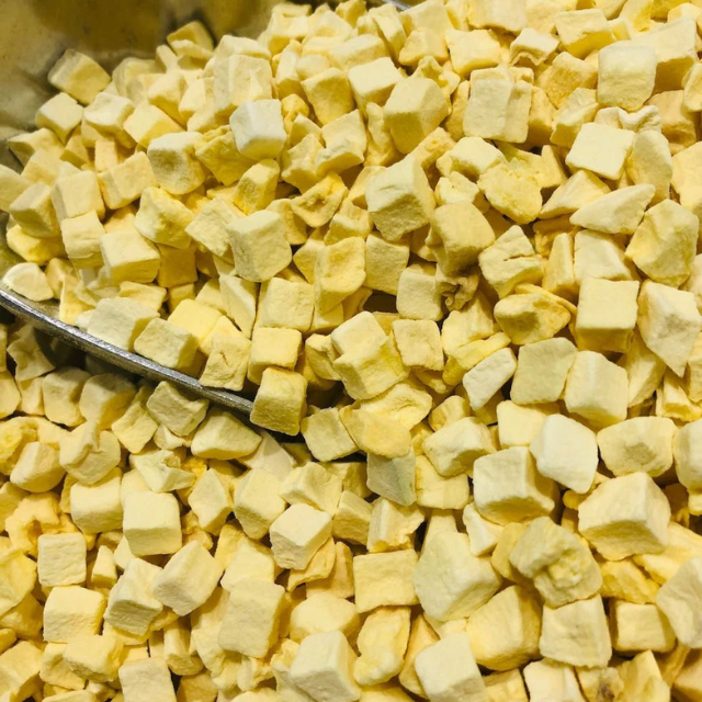 Premium Freeze-Dried Mango - High Quality Viet Nam Mango For Global Business - Image 4