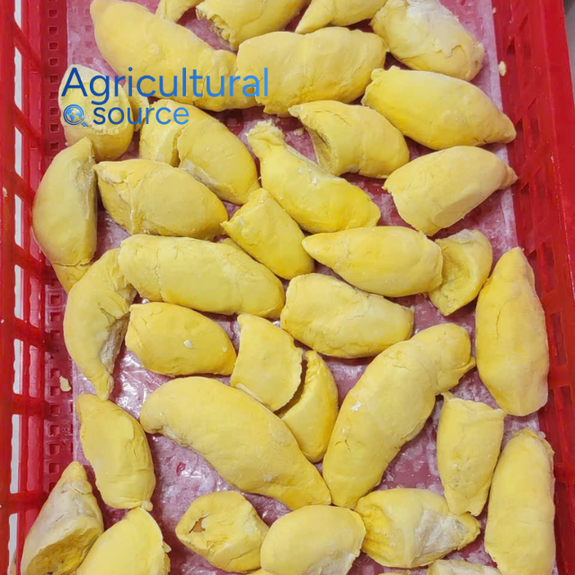 FROZEN DURIAN FROM VIET NAM - IQF DURIAN - Image 4