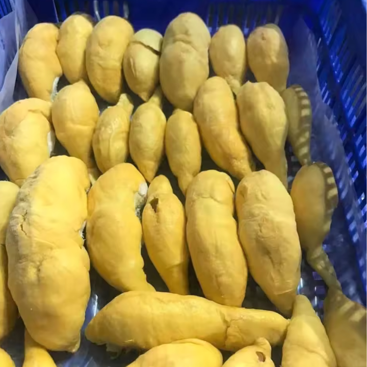 IQF DURIAN PUREES FROM VIETNAM - Image 4