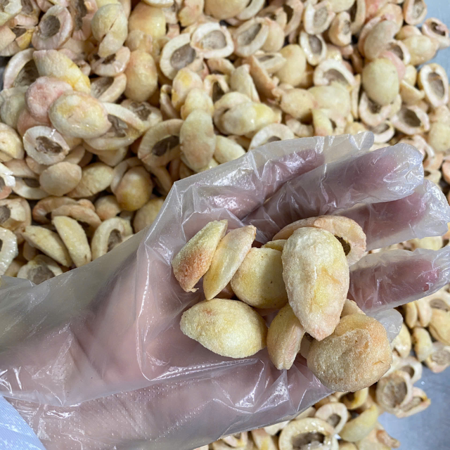 Vietnam Freeze Dried Rambutan Manufacturer OEM ODM Private Label Natural Fruit Snack Factory Supplier Export Quality - Image 3