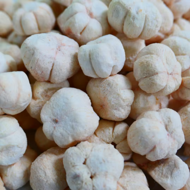 Vietnam Freeze Dried Mangosteen Manufacturer – OEM ODM Private Label Factory – Bulk Supply for Global Export - Image 3