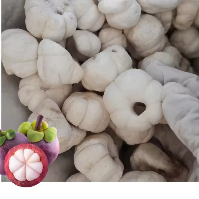 Vietnam Freeze Dried Mangosteen Manufacturer – OEM ODM Private Label Factory – Bulk Supply for Global Export - Image 4