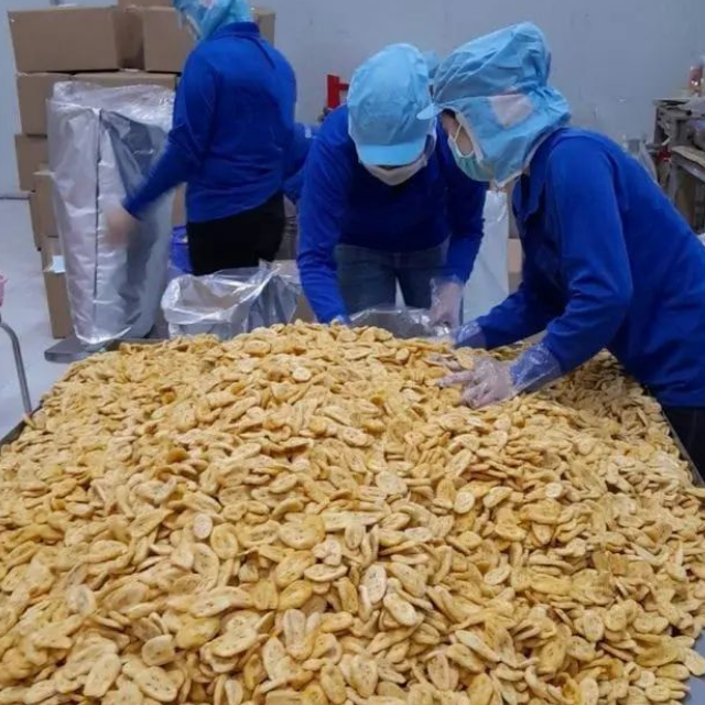 Vacuum Fried Banana Chips – Crispy, Low Oil, Natural & Healthy | Vietnam Exporter & Trusted Wholesale Supplier - Image 6