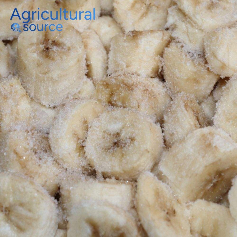 Vietnam Frozen Banana Premium Grade Frozen Banana Sweet Flavor Fresh Taste High Quality for Export Market - Image 3