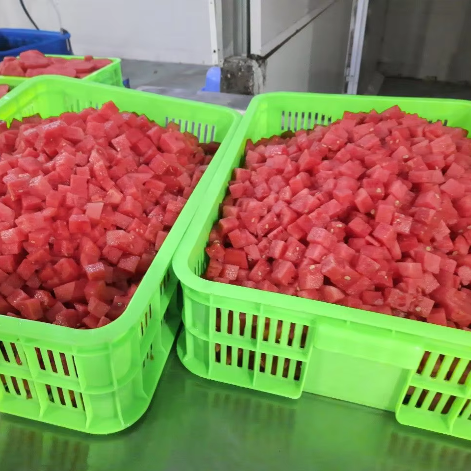 IQF WATER MELON CUBES FROM VIET NAM - Image 3