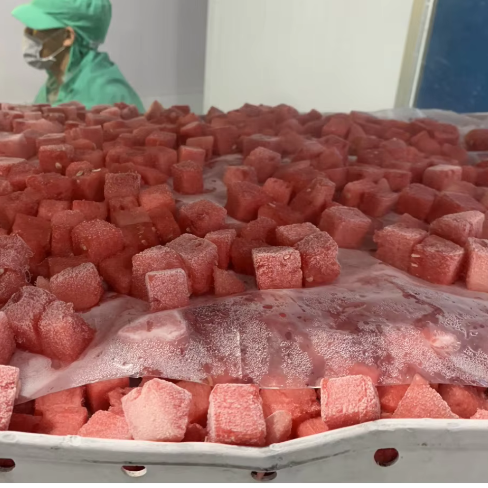 IQF WATER MELON CUBES FROM VIET NAM - Image 4