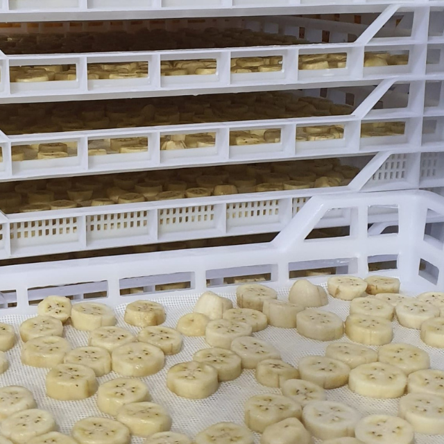 IQF BANANA SLICES FROM VIETNAM  - Image 2