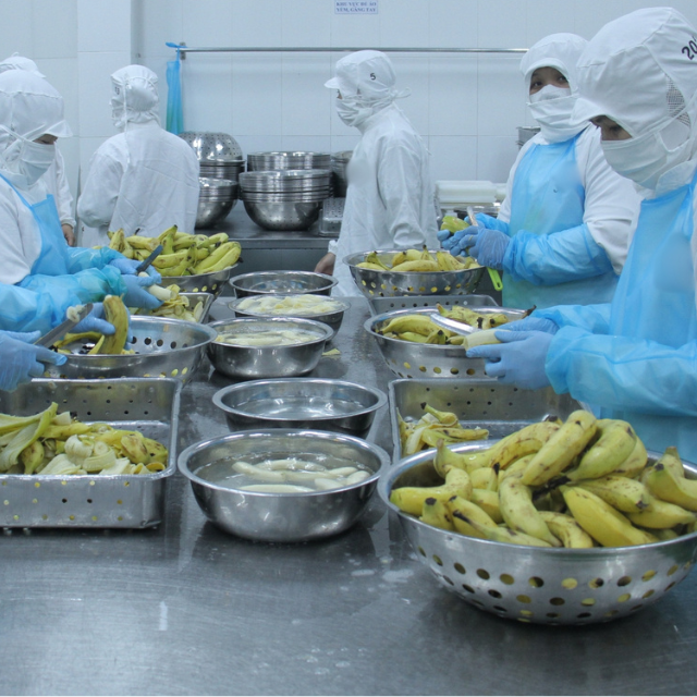 IQF BANANA WHOLE FROM VIETNAM  - Image 4