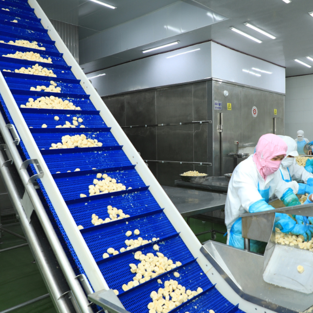 IQF BANANA WHOLE FROM VIETNAM  - Image 3