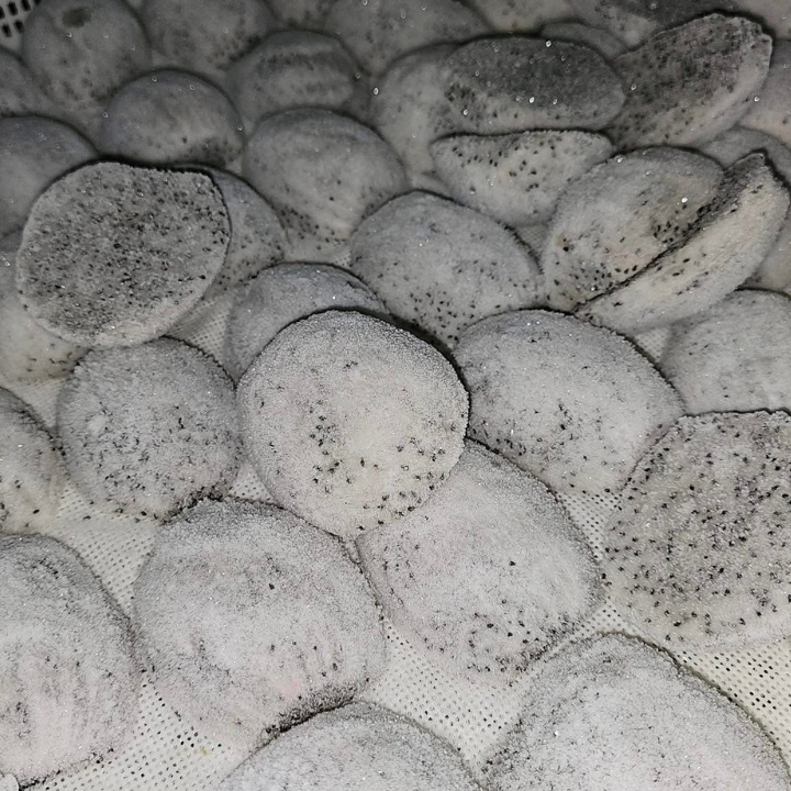 IQF White Dragon Fruit 