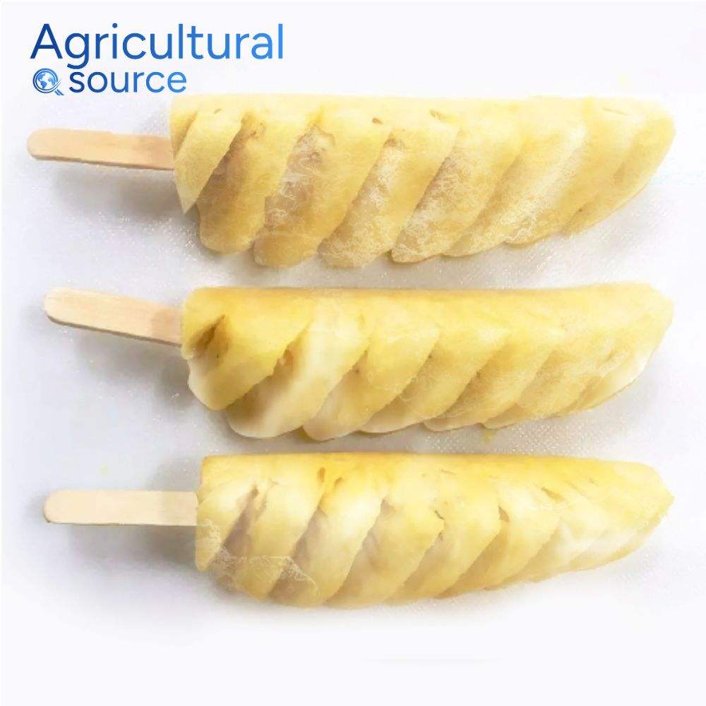 Top Grade Vietnam Frozen Pineapple Supplier Wholesale Export High Quality Reliable Frozen Pineapple - Image 4