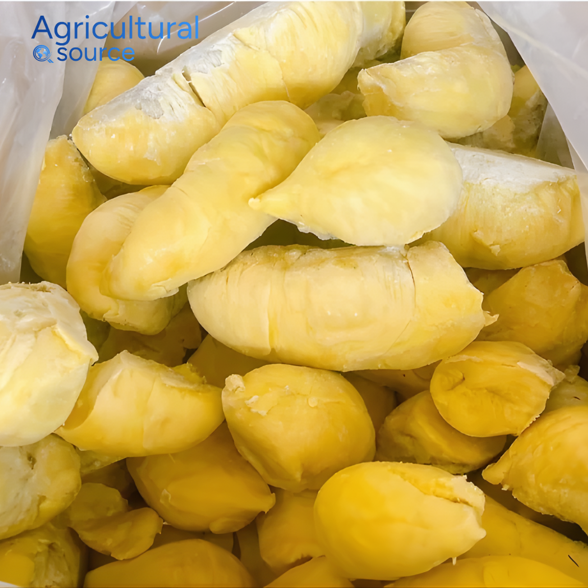 IQF DURIAN FROM VIETNAM  - Image 4