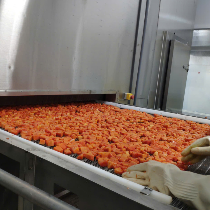 IQF PAPAYA FROM VIETNAM SOURCE - Image 3