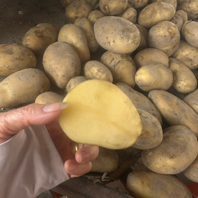 Healthy Crispy Potato Chips OEM ODM Vietnam Factory - Premium Snack, Natural Ingredients, Export Quality, Non-GMO - Image 2