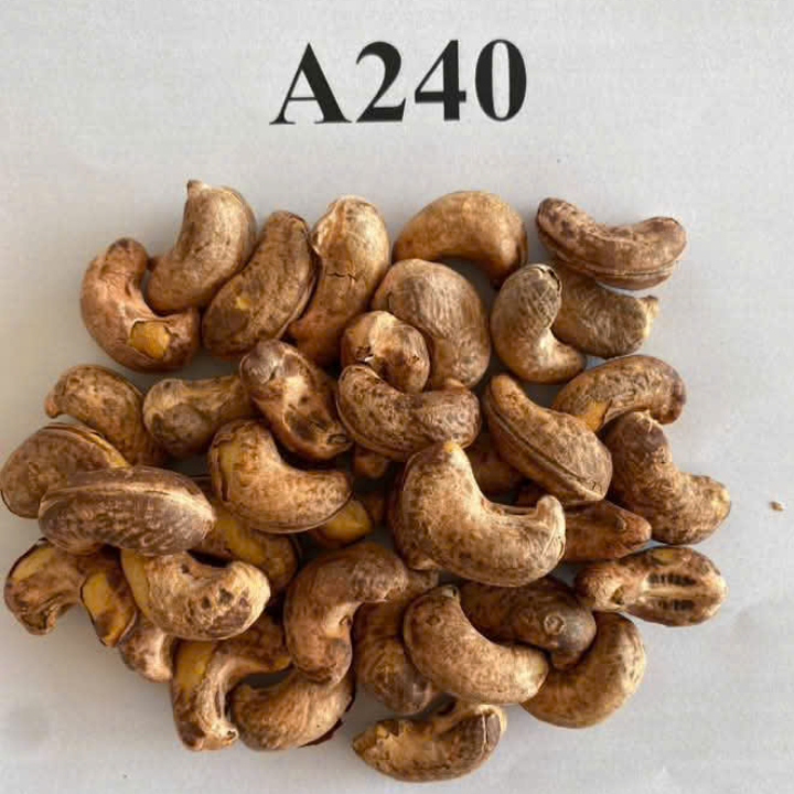 WHOLE CASHEW NUTS FROM VIETNAM - Image 3