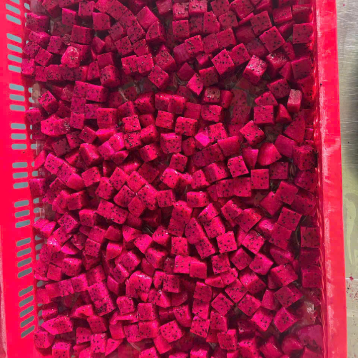 IQF RED DRAGON FRUIT CUBES FROM VIETNAM - Image 4