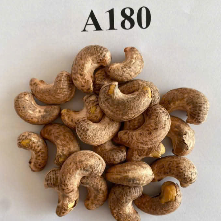WHOLE CASHEW NUTS FROM VIETNAM - Image 2