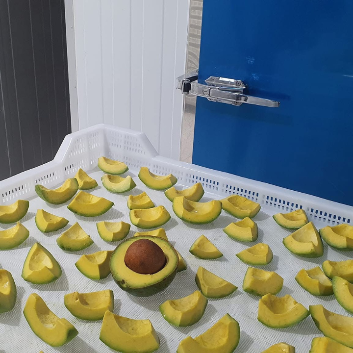 IQF AVOCADO HALVES FROM VIETNAM - Image 3
