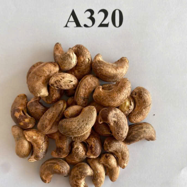 WHOLE CASHEW NUTS FROM VIETNAM - Image 4