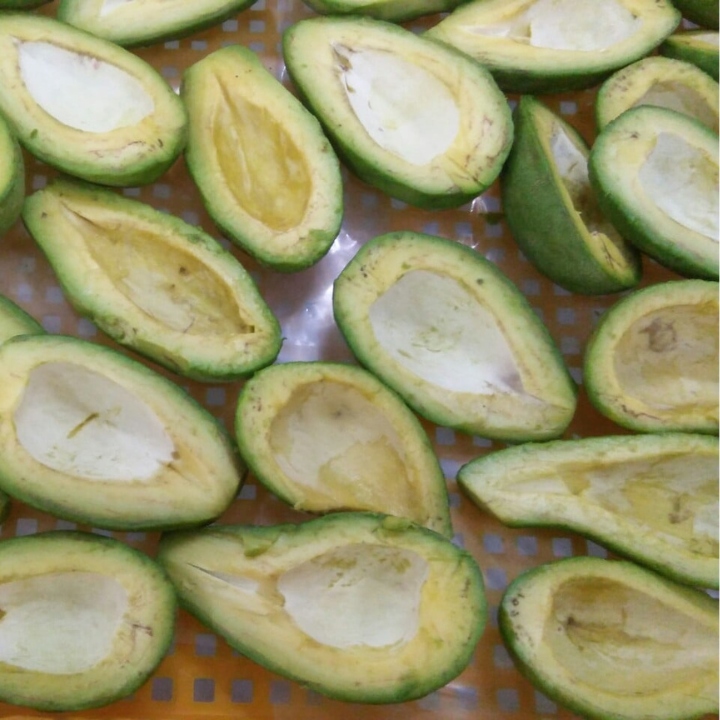 IQF AVOCADO HALVES FROM VIETNAM - Image 4