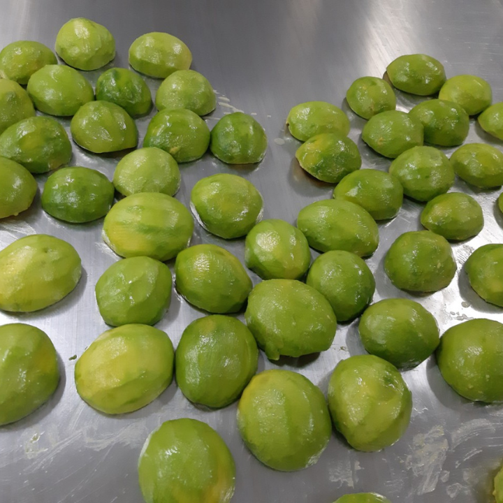 IQF AVOCADO PUREE FROM VIETNAM - Image 3