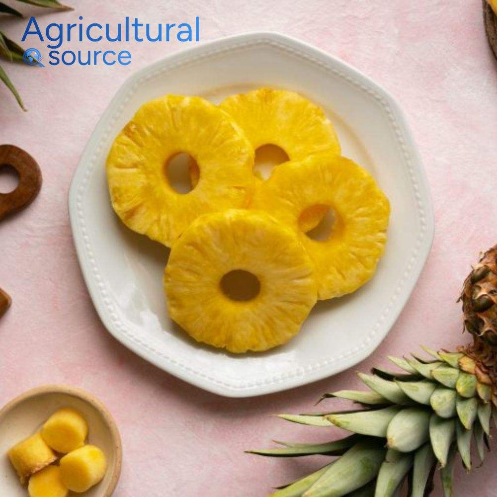 Top Grade Vietnam Frozen Pineapple Supplier Wholesale Export High Quality Reliable Frozen Pineapple - Image 6