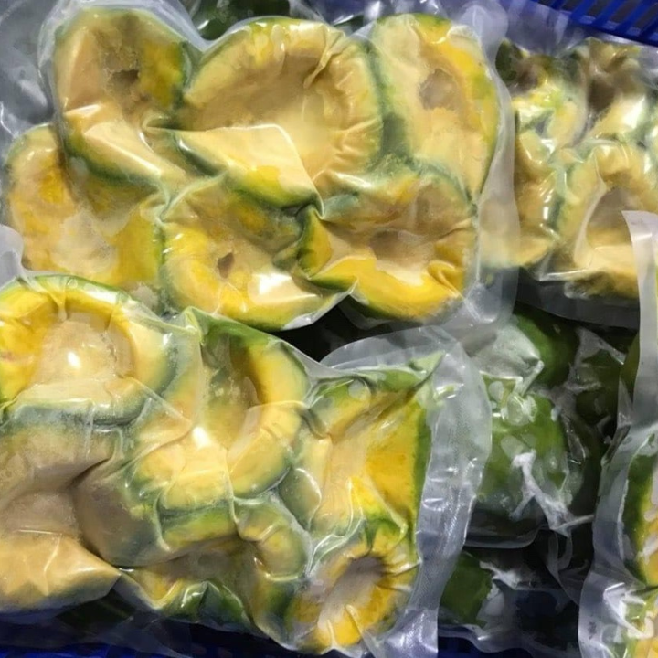 IQF AVOCADO PUREE FROM VIETNAM - Image 4