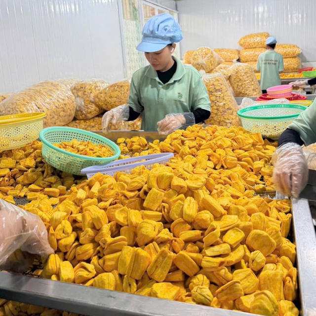 CRISPY DRIED JACKFRUIT FROM VIETNAM - Image 3