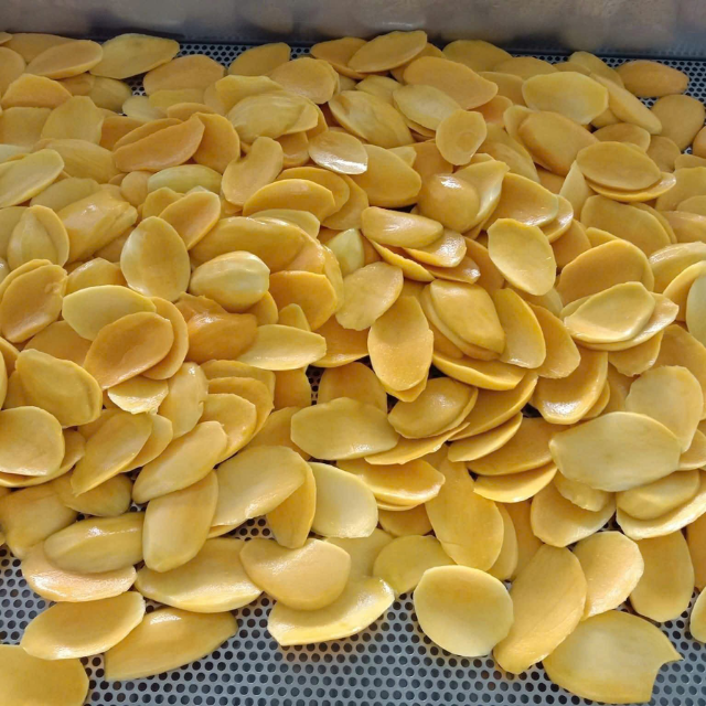 Reliable Vietnam Soft Dried Mango Manufacturer | OEM & ODM Services | Premium Tropical Snack Made in Vietnam | Bulk & Private  - Image 3
