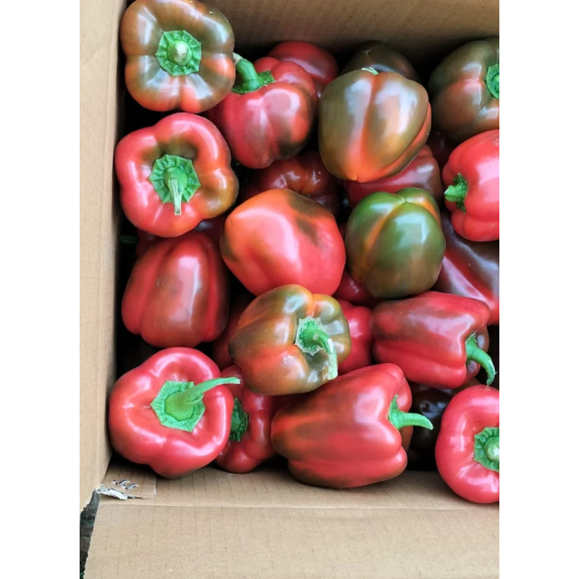 Fresh Bell Pepper  - Image 3