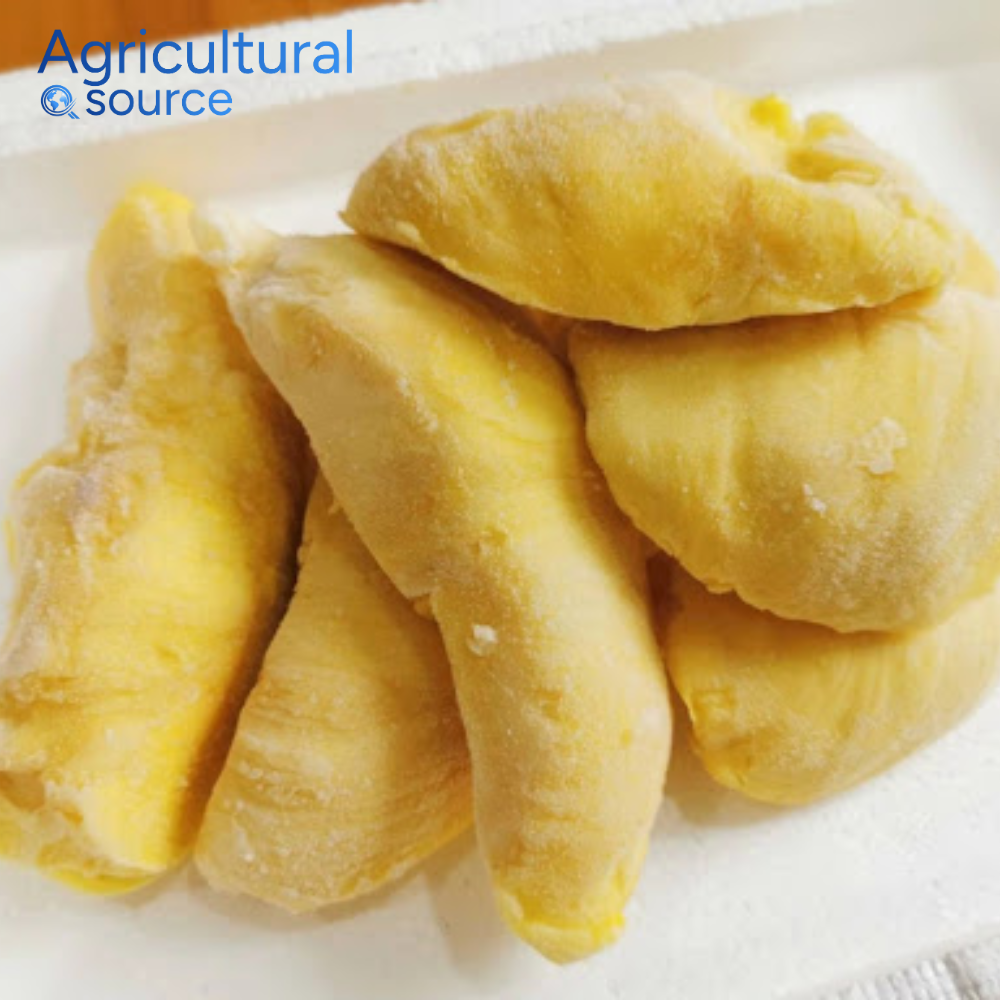 FROZEN DURIAN FROM VIET NAM - IQF DURIAN - Image 3