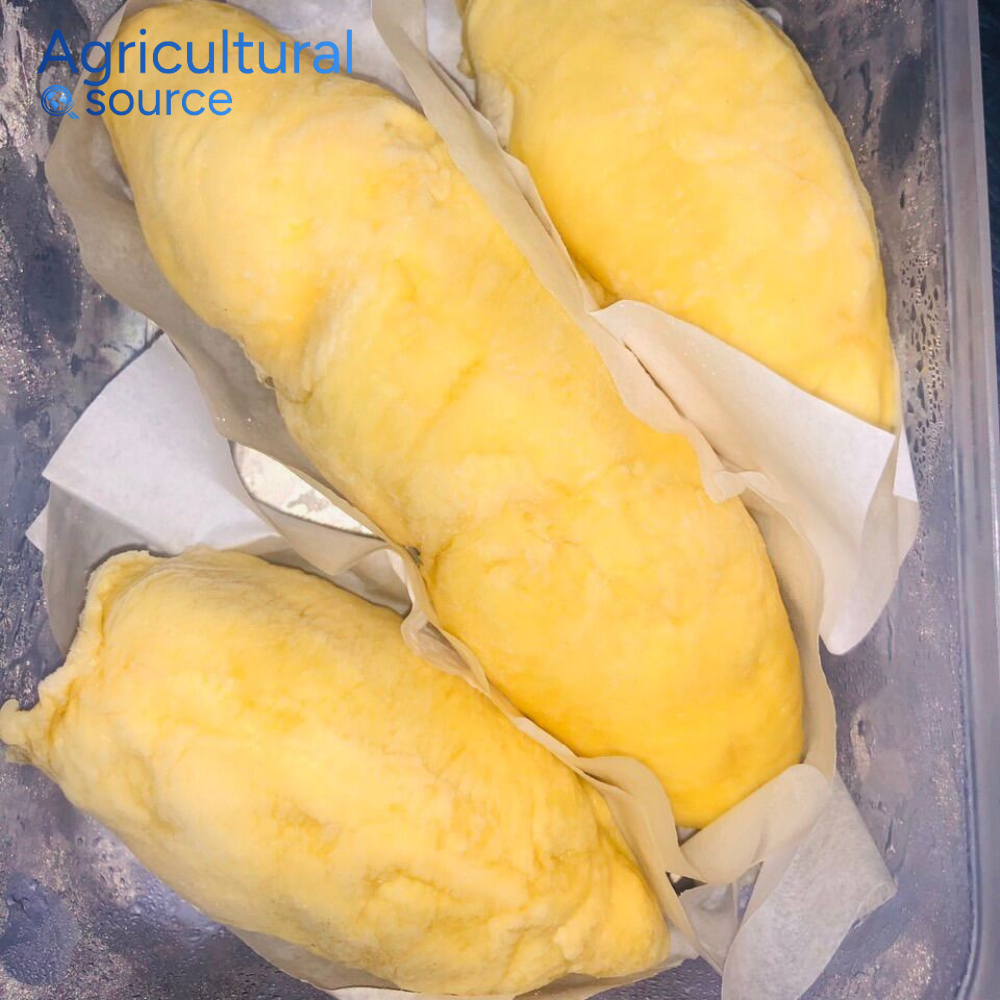 High Grade Frozen Durian Golden Pulp Strong Aroma Sweet Creamy Flavor - Best Price Direct  Vietnam Factory For Import Supply  - Image 4
