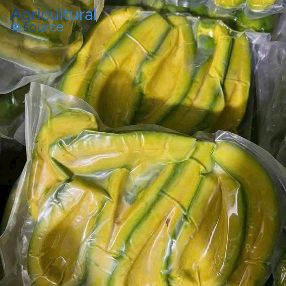 Premium Frozen Avocado From Vietnam - Wholesale Supplier High Quality Frozen Avocado Factory - Image 2