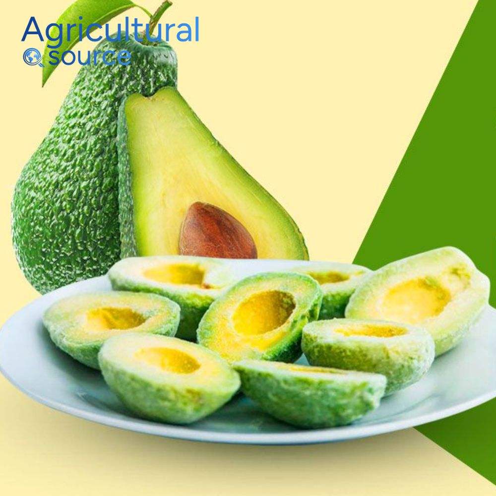 Premium Frozen Avocado From Vietnam - Wholesale Supplier High Quality Frozen Avocado Factory - Image 4