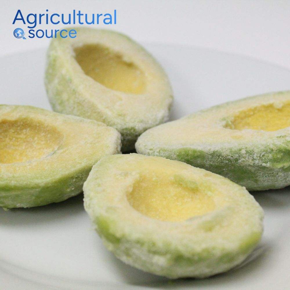 Premium Frozen Avocado From Vietnam - Wholesale Supplier High Quality Frozen Avocado Factory - Image 3