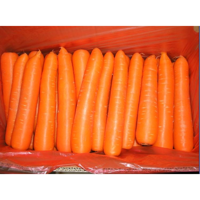 Fresh Carrot - Image 2