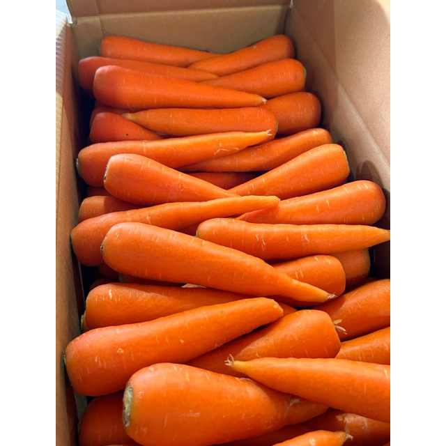 Fresh Carrot - Image 3