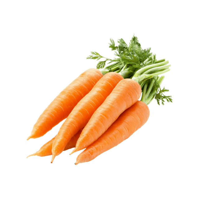 Fresh Carrot