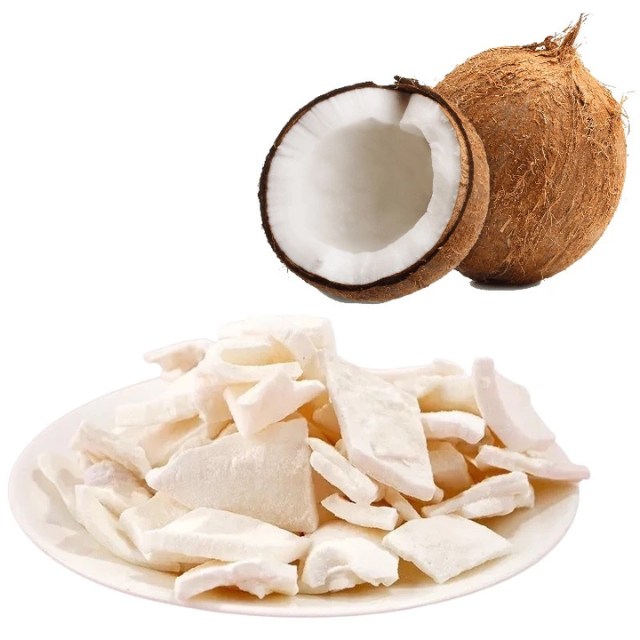Vietnam Freeze Dried Coconut Manufacturer and Supplier | OEM ODM Private Label Factory for Global Export Markets - Image 3