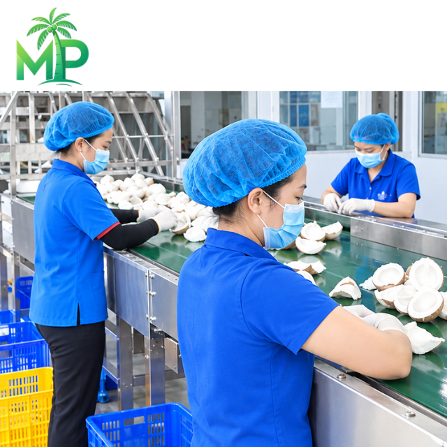 High Fat Desiccated Coconut for Industrial Food Production - Image 5