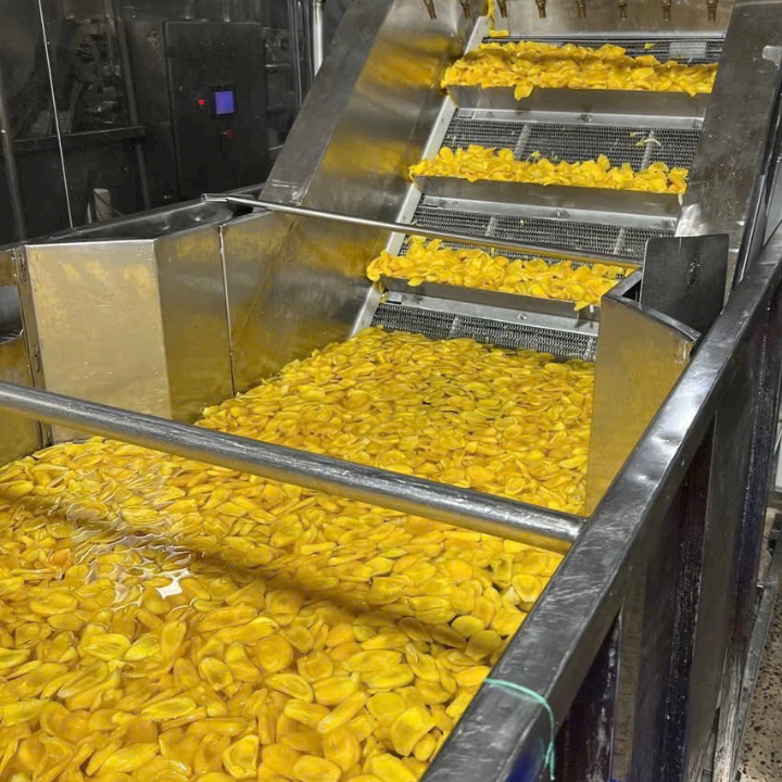 CRISPY DRIED JACKFRUIT FROM VIETNAM - Image 4